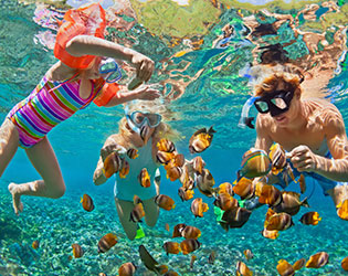 Underwater photography. Happy family diving in the tropical sea